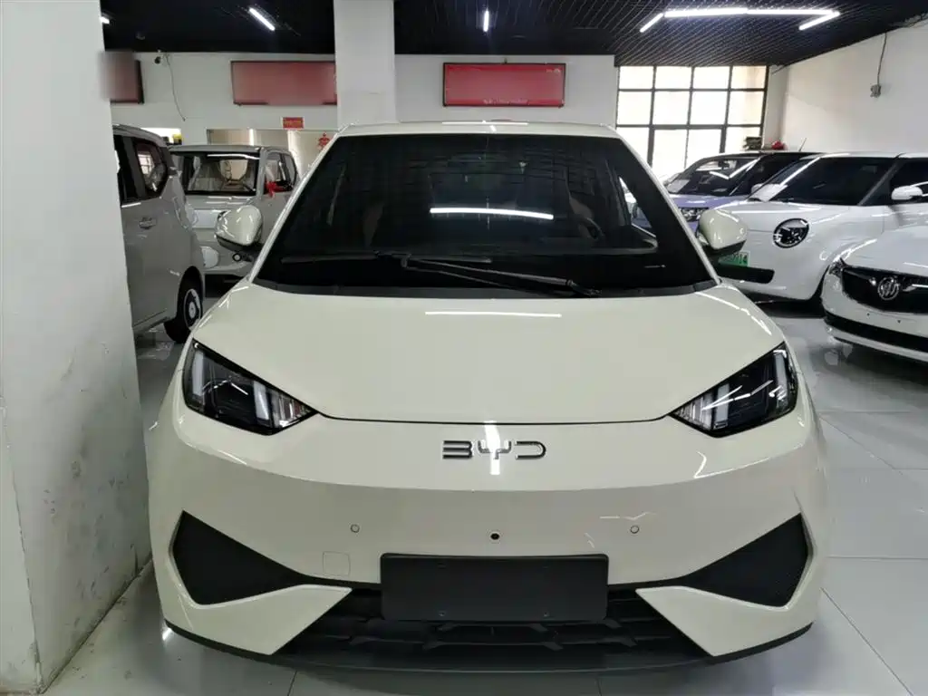 BYD Seagull 2025 Smart Drive Edition 305km Freedom Version фото 3