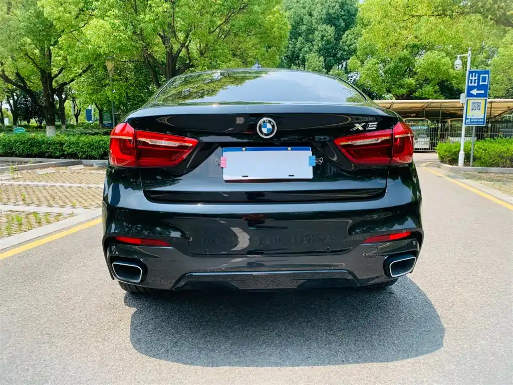 BMW X6 2018 xDrive35i M Sport Luxury Model фото 9