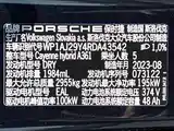 Фото 31 - Porsche Cayenne New Energy