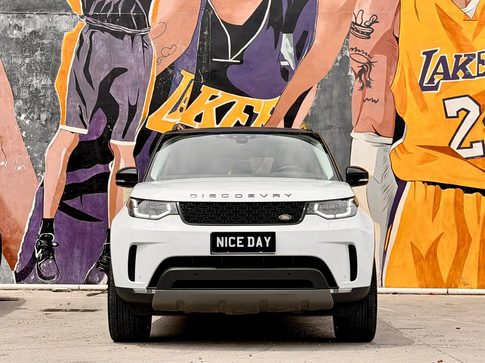 Фото 2 - Land Rover Discovery