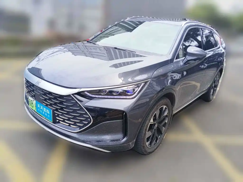 BYD Tang New Energy 2024