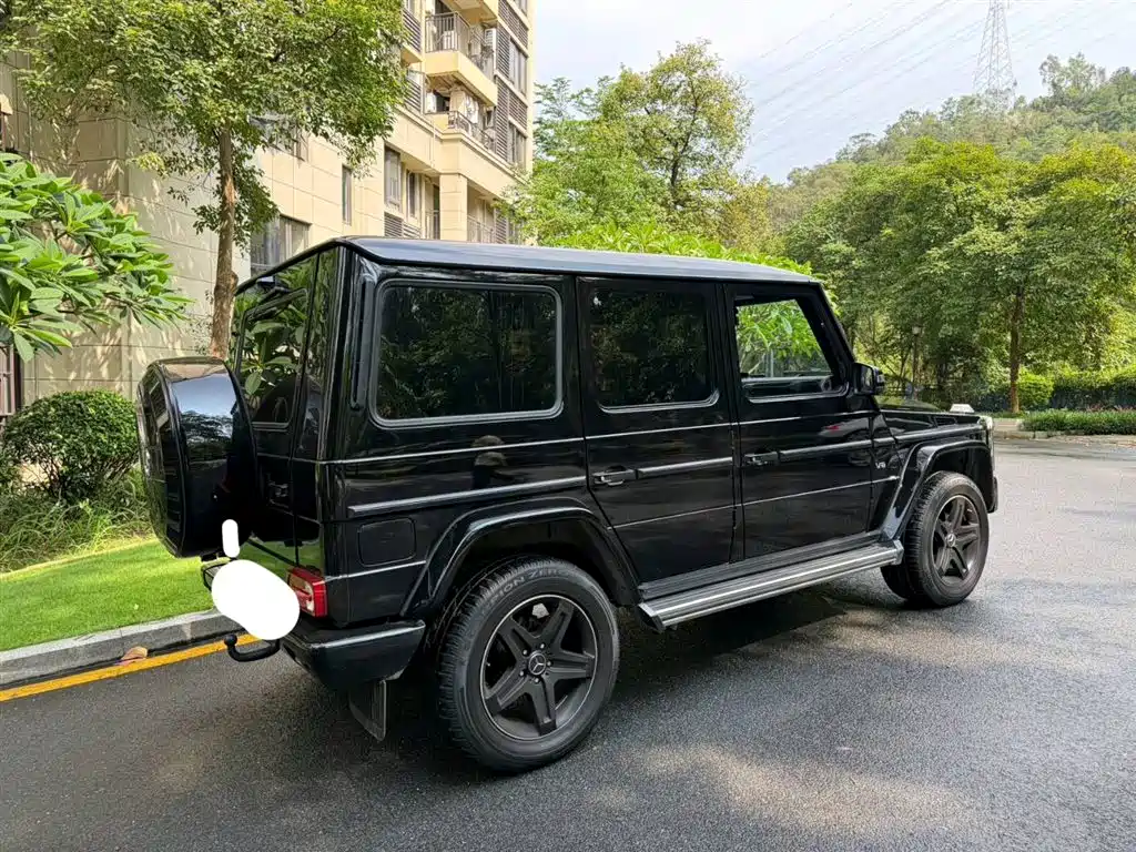 Mercedes-Benz G-Class 2017 G 500 фото 4