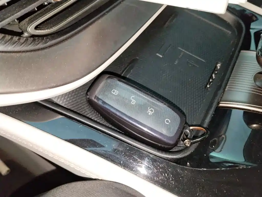 Denza D9 2022 DM-i 970 AWD Flagship фото 9