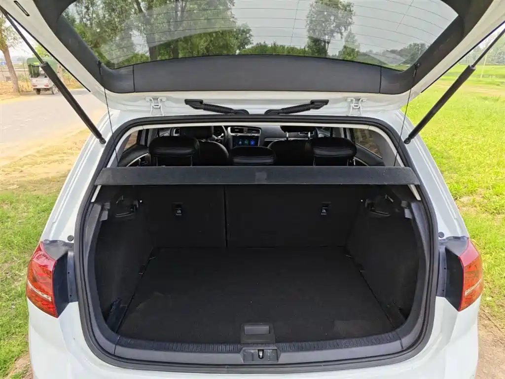 Volkswagen Golf 2015 1.6L Automatic Comfort фото 19