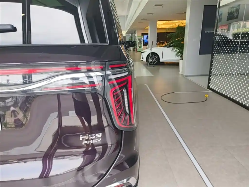 Hongqi HQ9 PHEV 2024 Model 2.0T AWD Luxury Edition фото 8