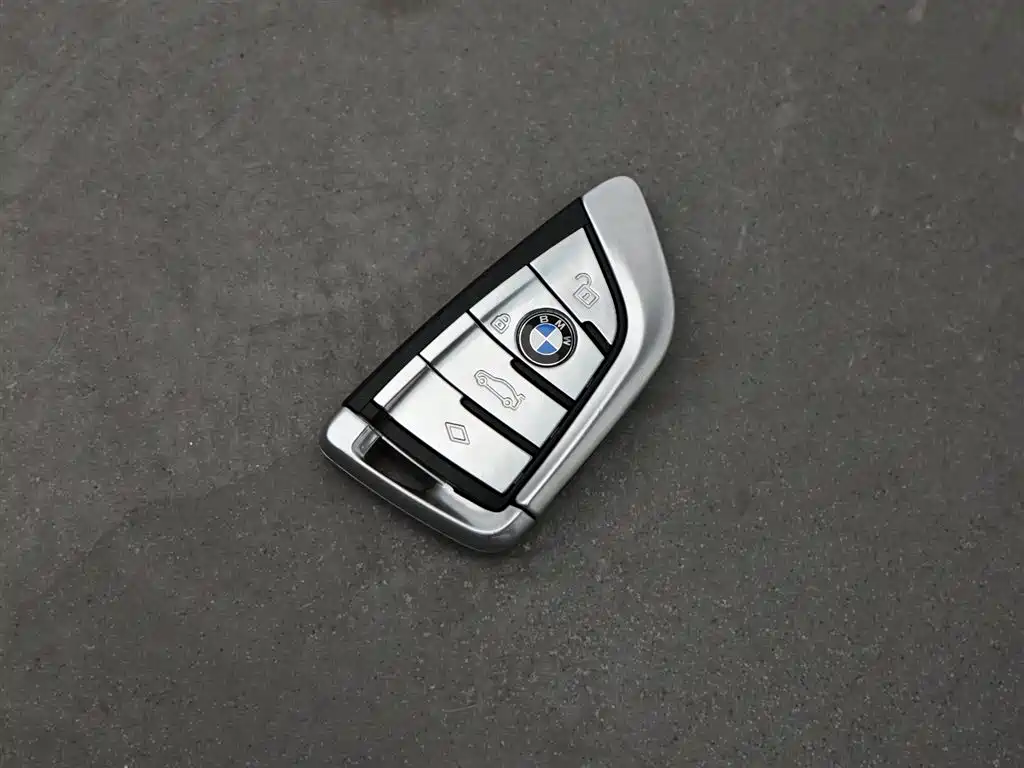 BMW 5 Series 2019 530Li Premium Luxury Package фото 12