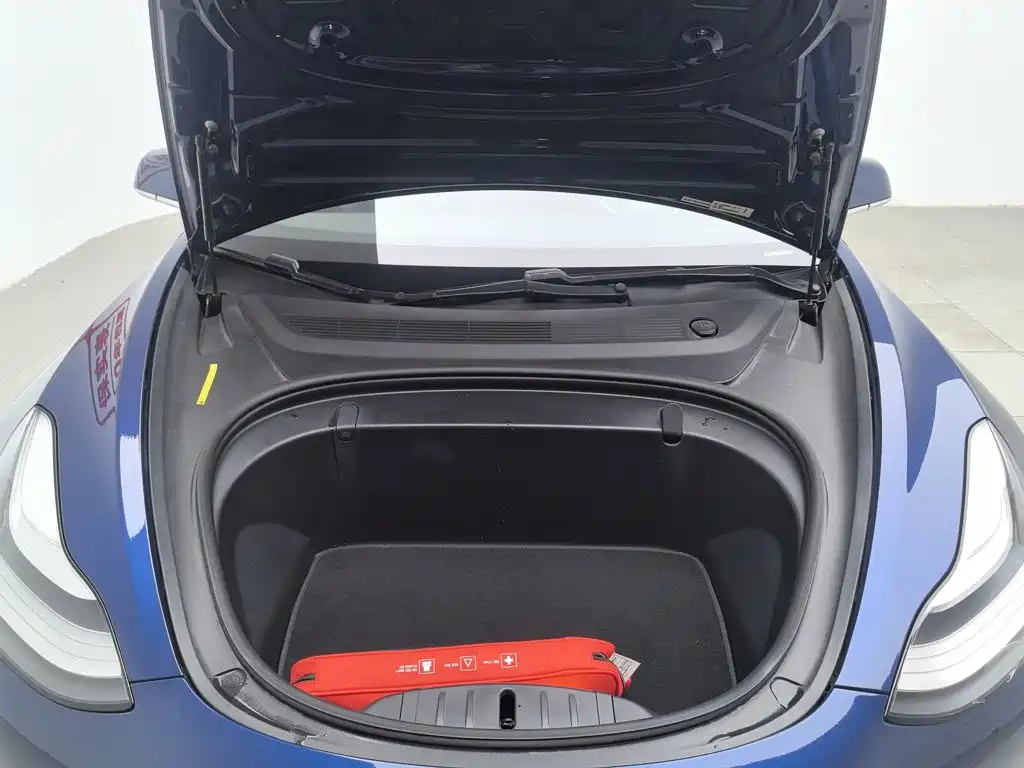 Tesla Model 3 (Import) 2019 2019 Long Range All-Wheel Drive Edition