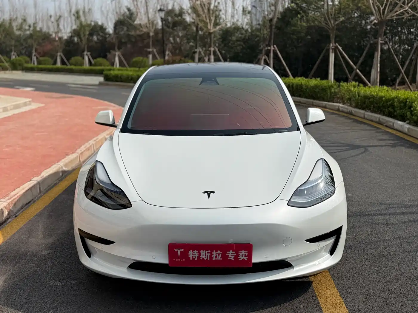 TESLA MODEL 3