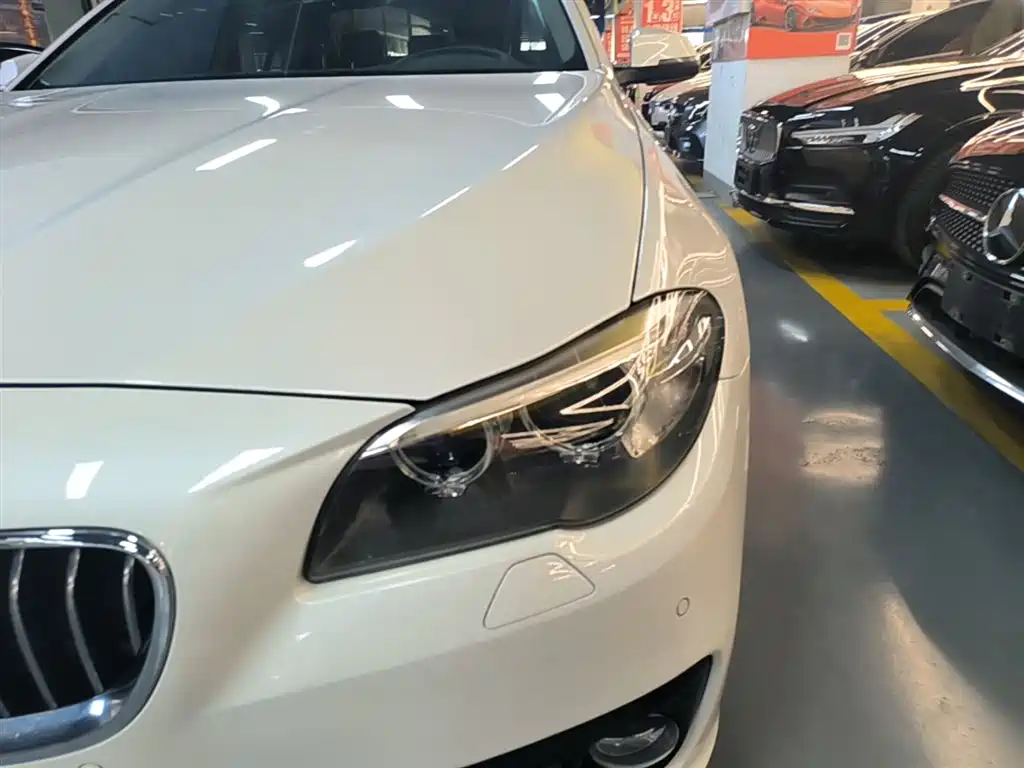 BMW 5 Series (Import) 2015 520i Elegance фото 24