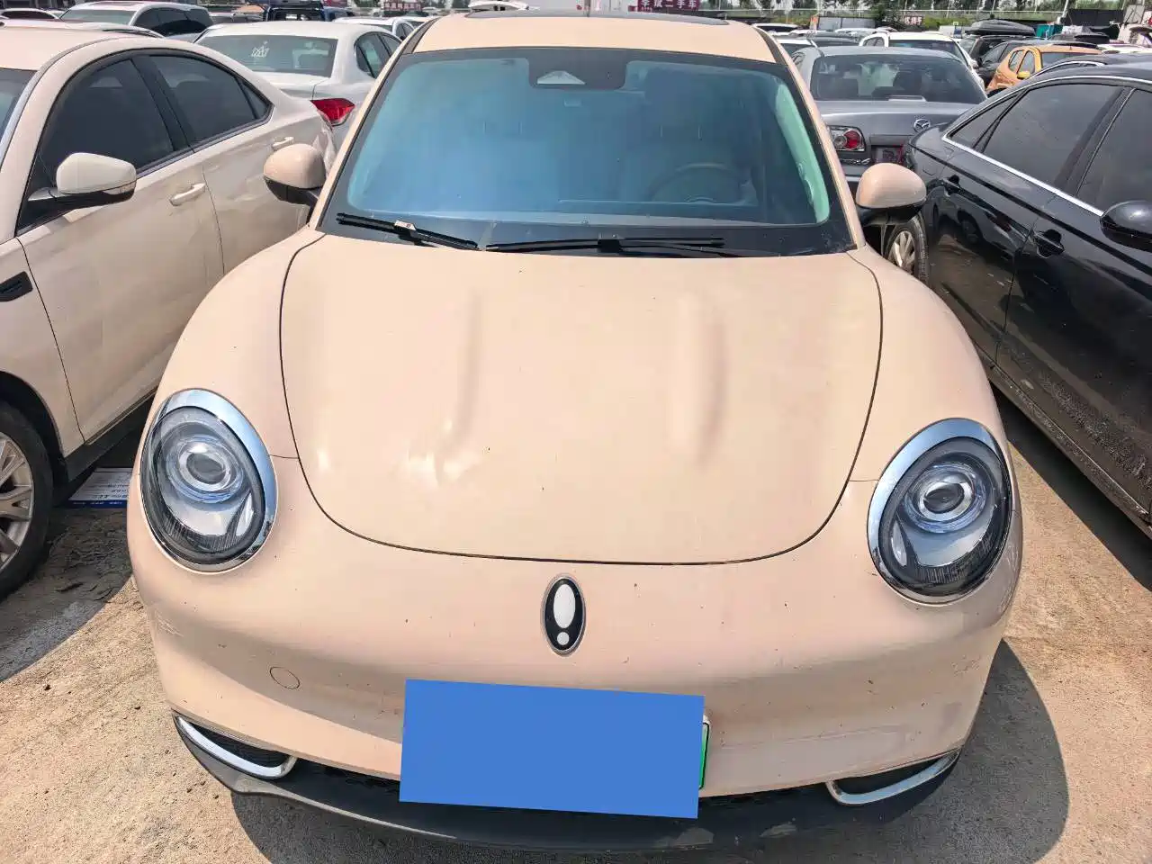 Ora Good Cat 2024 2024 401km Luxury
