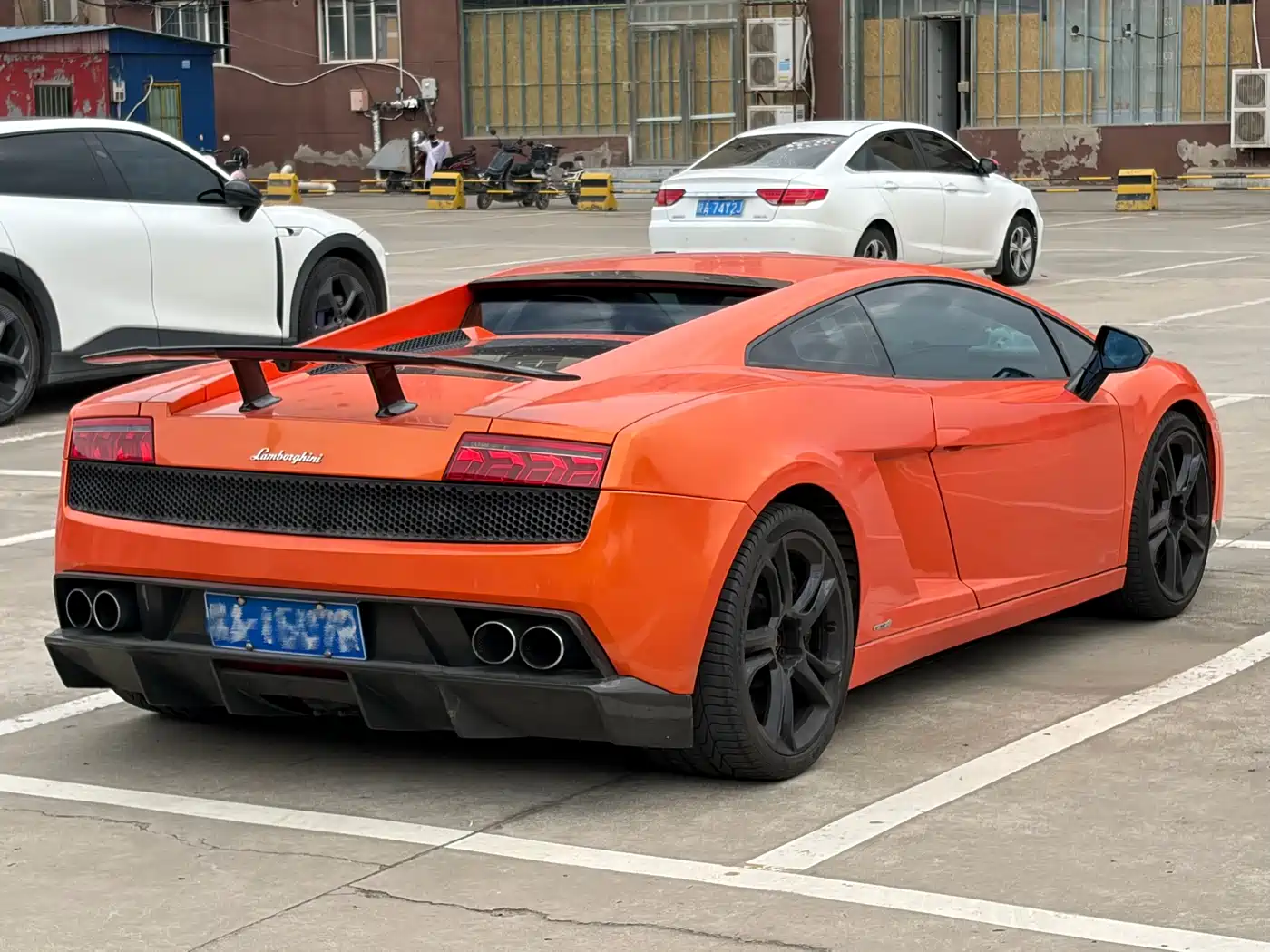 Lamborghini Gallardo 2012 2011 Lamborghini Gallardo LP 560-4 Bicolore