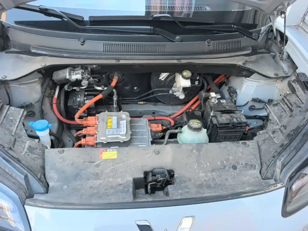 Wuling Motors Wuling Binguo PLUS 2025 2024 Model 330km 5-Seater