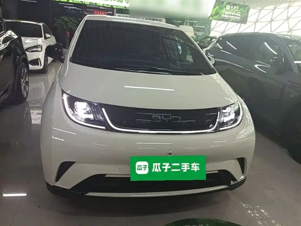 BYD Dolphin 2025 420km Freedom Edition фото 3