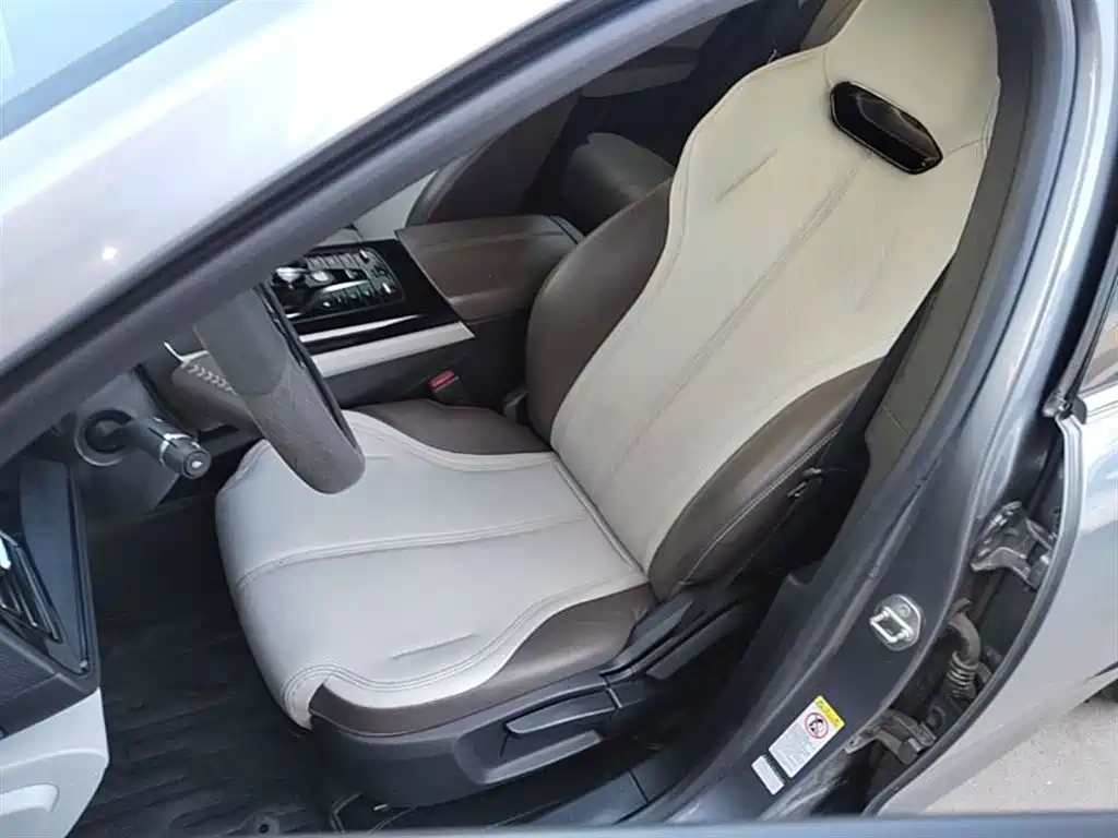 BYD Qin PLUS 2023 Champion Edition DM-i 55KM Leading фото 15