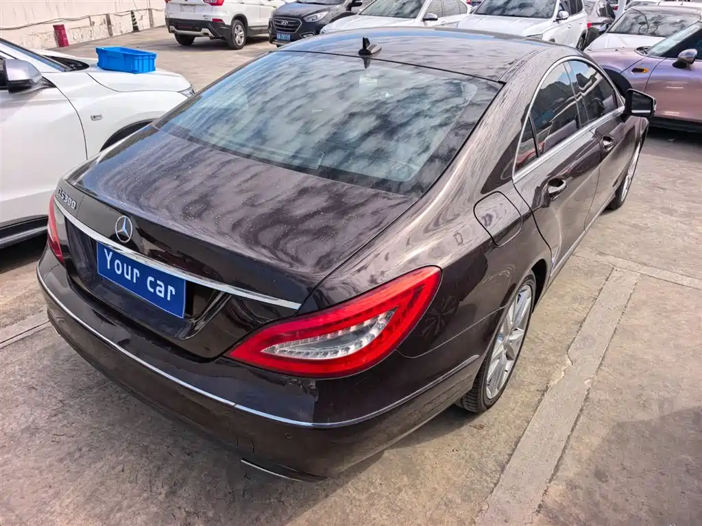 Mercedes-Benz CLS 2012 CLS 300 CGI фото 6