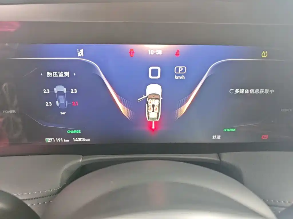 Photo 12 - Hongqi E-HS9