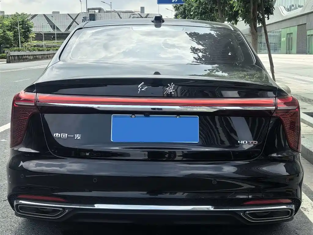 Hongqi H5 2024 2.0T Automatic Smart Connect Flag Smooth Edition фото 8