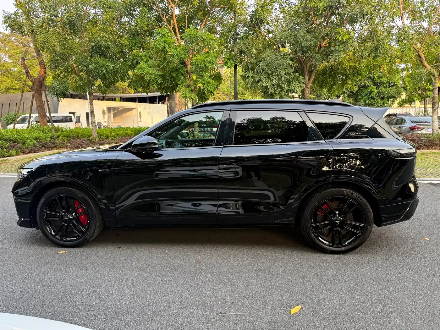 Voyah Auto VOYAH FREE 2025 318 318km RWD Touring Edition фото 2