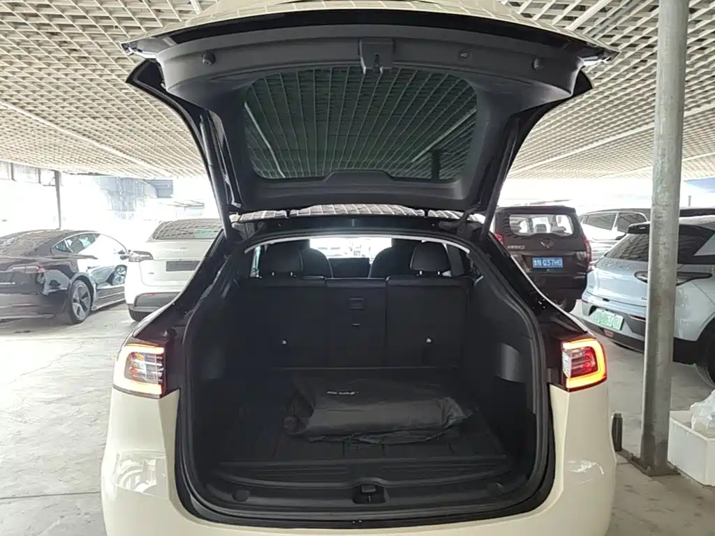 Tesla Model Y 2021 2021 Standard Range Rear-Wheel Drive