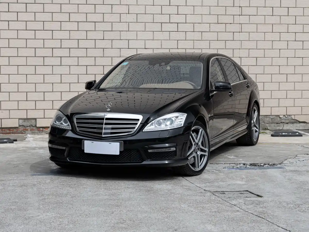 Mercedes-Benz S-Class AMG 2010 AMG S 65