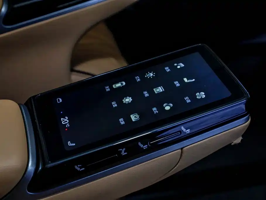 Denza D9 2024 DM-i 980 AWD Premium фото 20