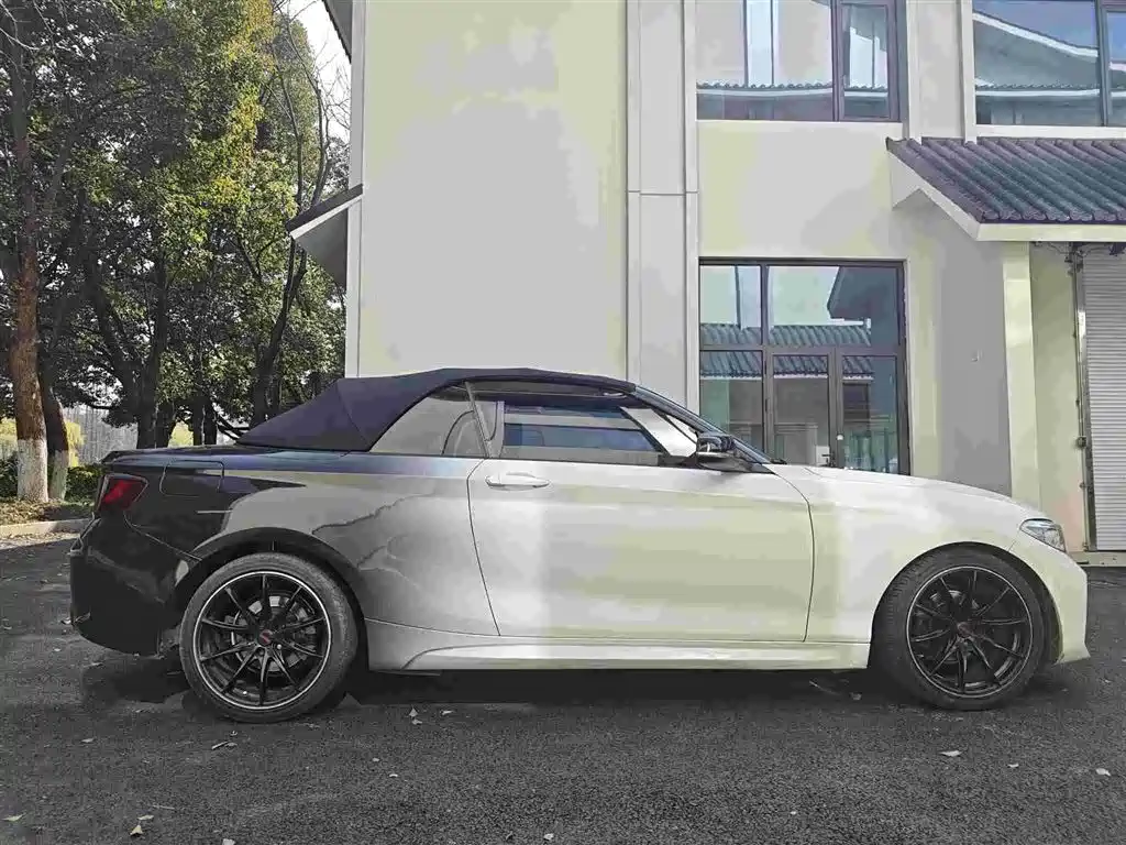 BMW 2 Series (Import) 2015 218i Convertible Coupe фото 13