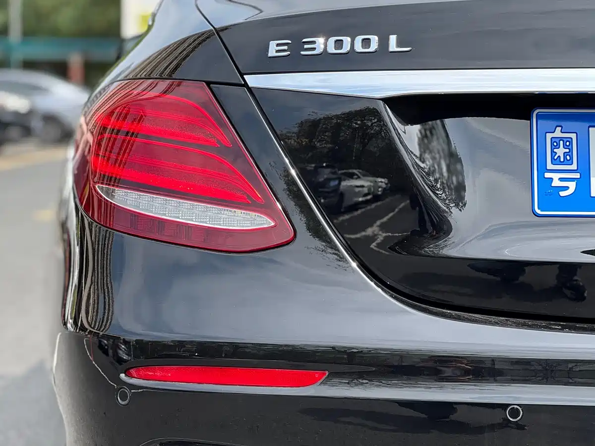 Mercedes-Benz E-Class 2019 E 300 L Sport Fashion фото 21
