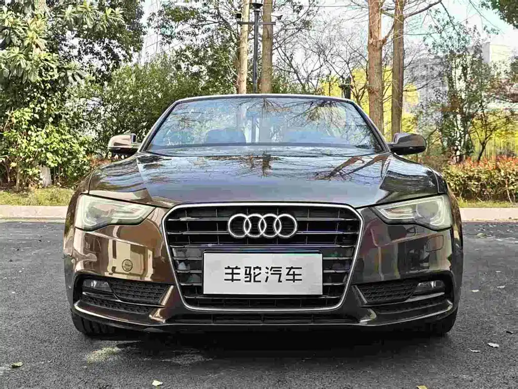 Audi A5 (Import) 2012 2.0TFSI Cabriolet фото 2