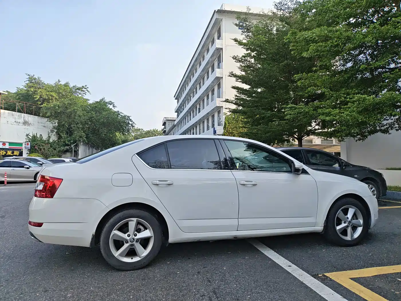 Фото 7 - Škoda Octavia