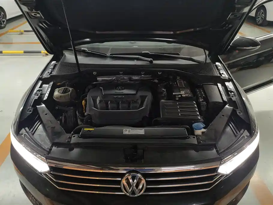Volkswagen Magotan 2019 330TSI DSG Leading China V фото 10