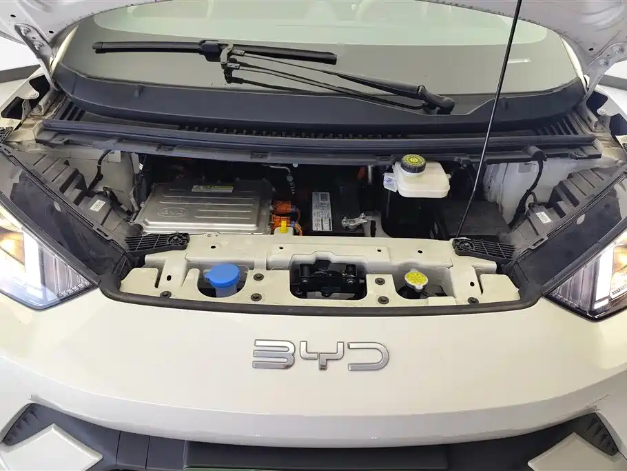 BYD Seagull 2025 305km Vitality фото 10