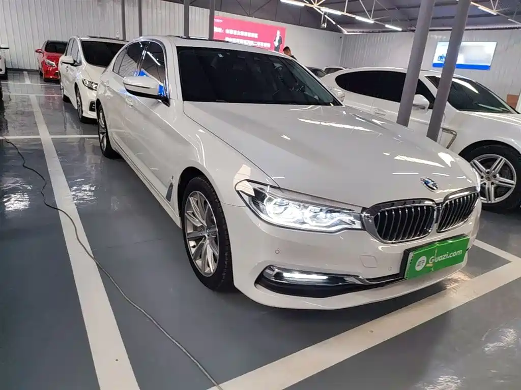 BMW 5 Series New Energy 2019 530Le Luxury Package фото 4