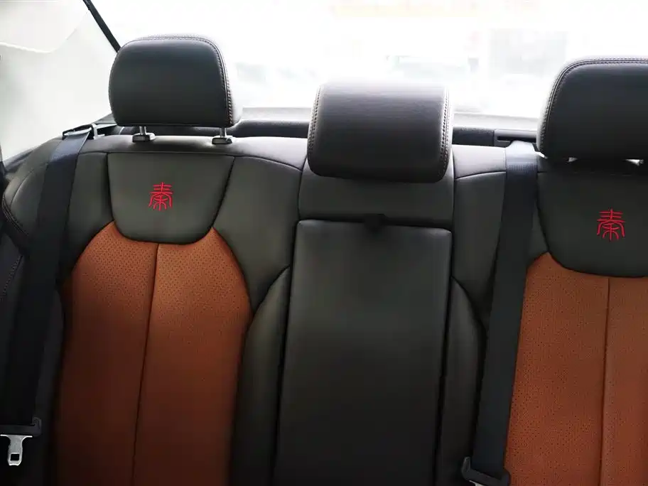BYD Qin New Energy 2016 Qin EV300 Honor фото 20