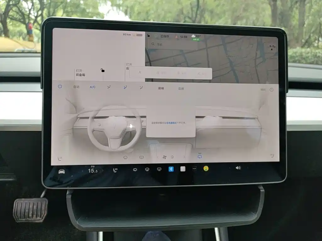 Tesla Model 3 (Import) 2019 2019 Long Range RWD Version