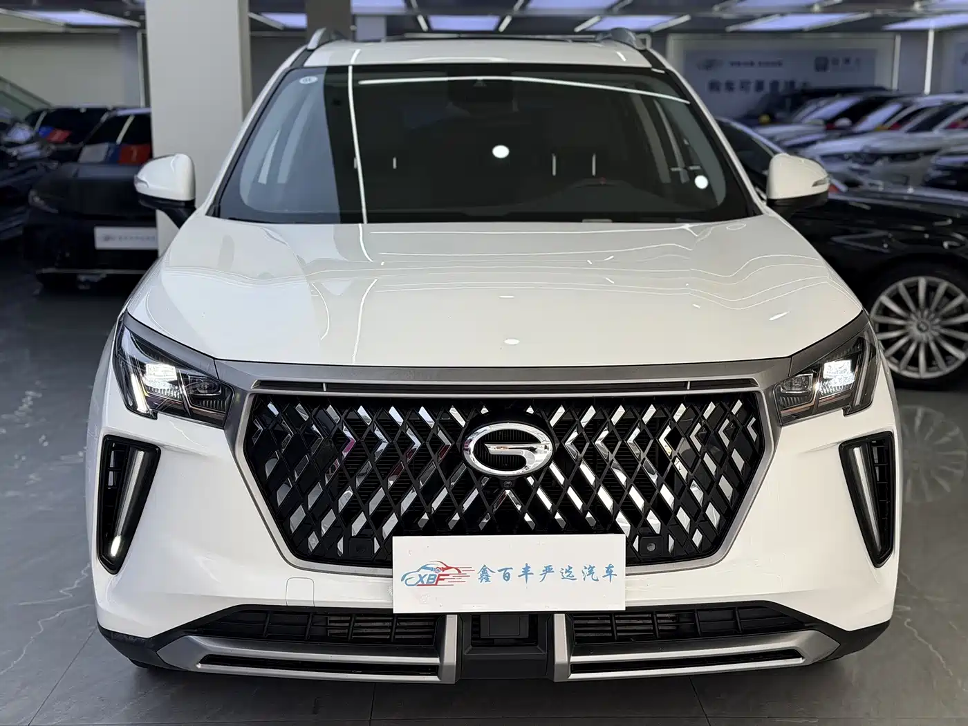 GAC Trumpchi Trumpchi GS4 PLUS 2023 2022 390T Automatic Galaxy Edition