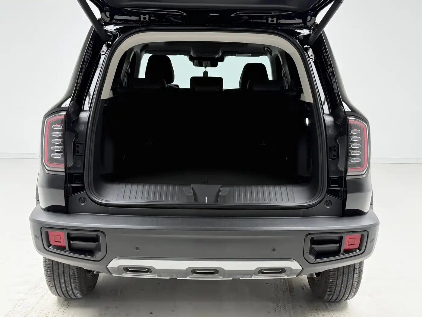 Haval Big Dog 2024 1.5T DCT Border Collie Edition фото 10