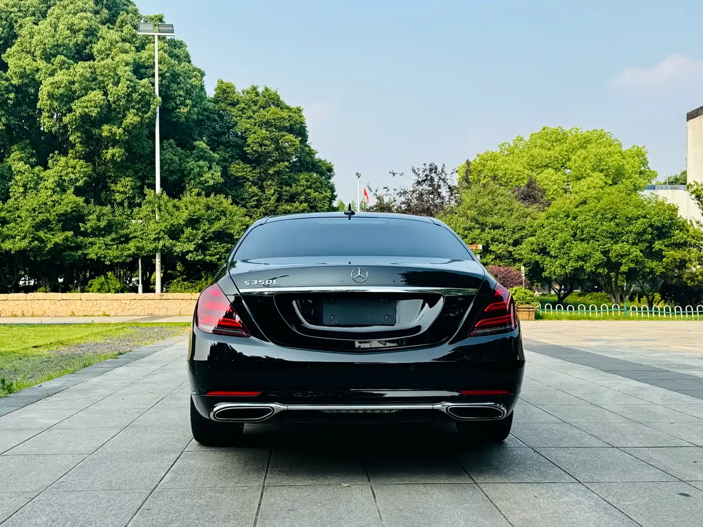 Mercedes-Benz S-Class 2018 S 350 L фото 9