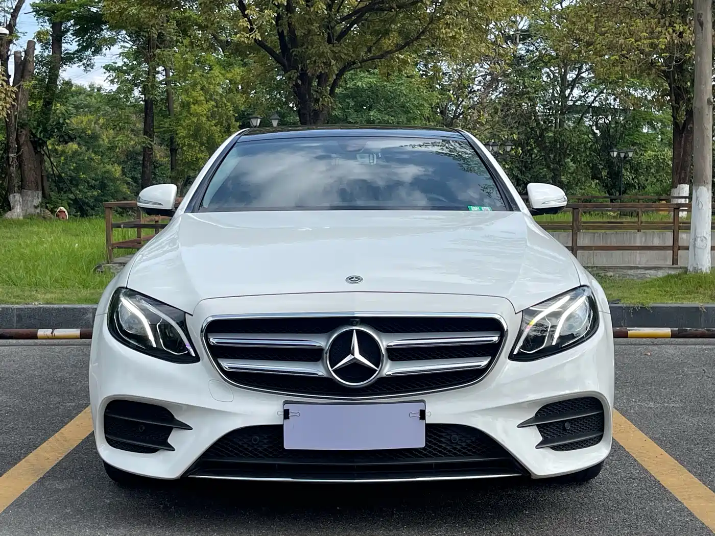 Mercedes-Benz E-Class 2020 E 300 L Sport Luxury Model фото 2