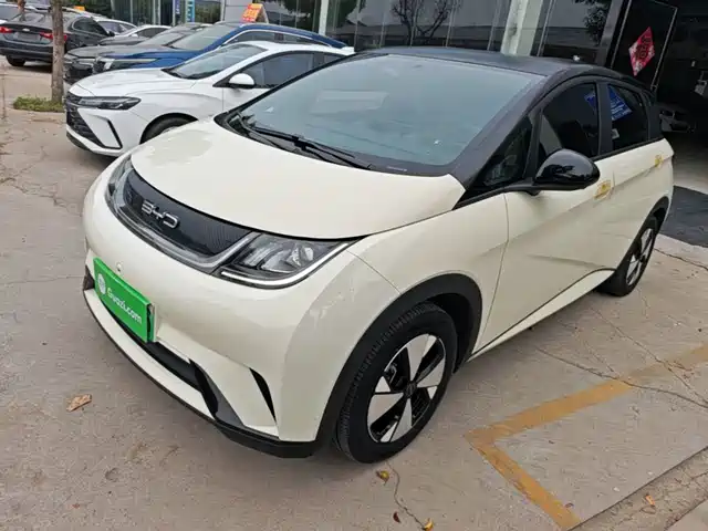 BYD Dolphin 420km, Свобода