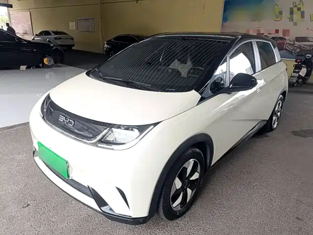 BYD Dolphin 2024