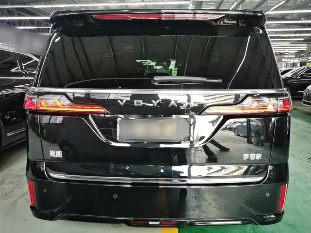 Voyah Auto Voyah Dreamer 2024 PHEV Extended Range Flagship Edition фото 6