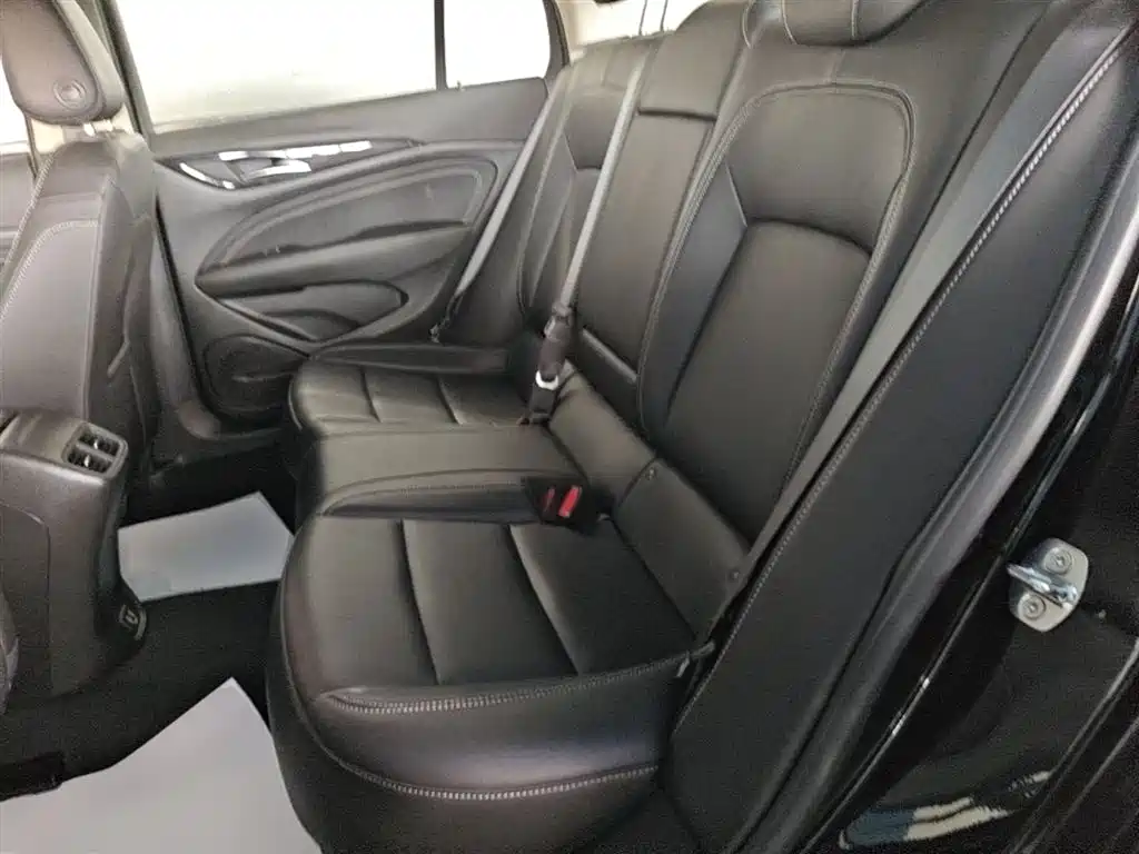 Buick Regal 2024 25T Ultra Comfort Edition фото 17