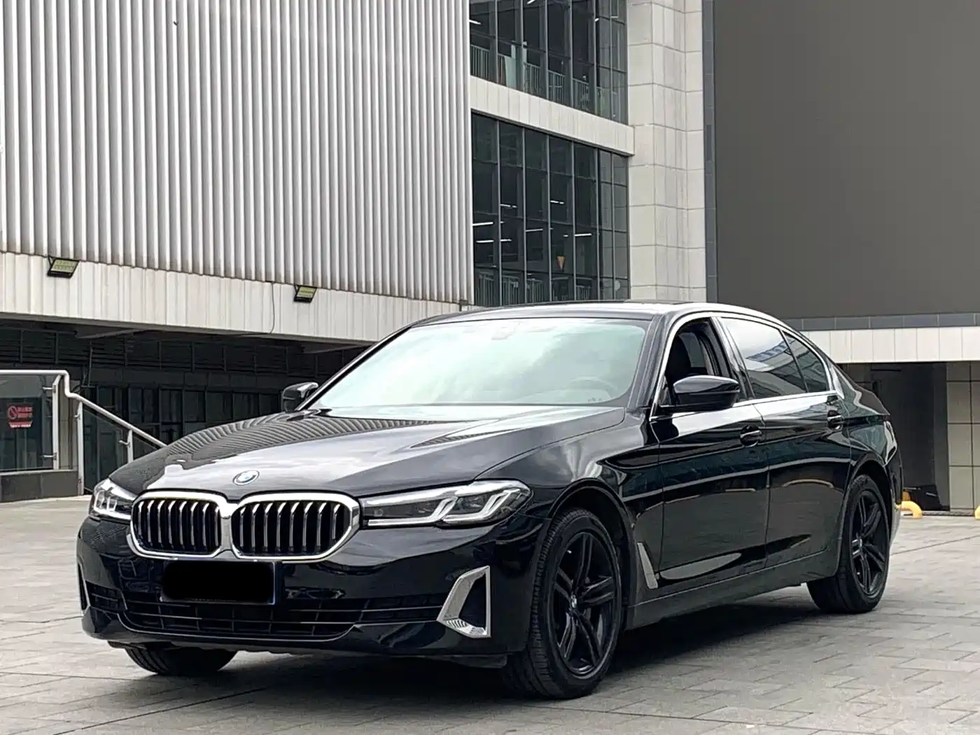 BMW 5 Series 2021 530Li Leading Luxury Package