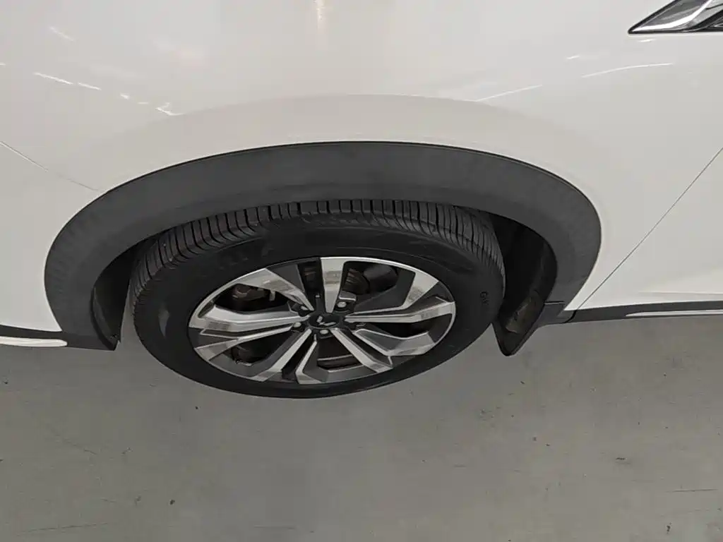 Wuling Motors Wuling Xingchen 2023 2021 1.5T CVT Starlight Edition