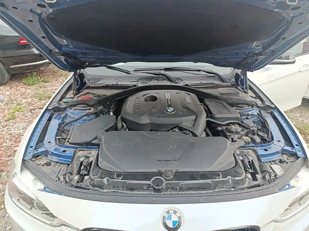 BMW 3 Series 2017 320Li M Sport фото 20