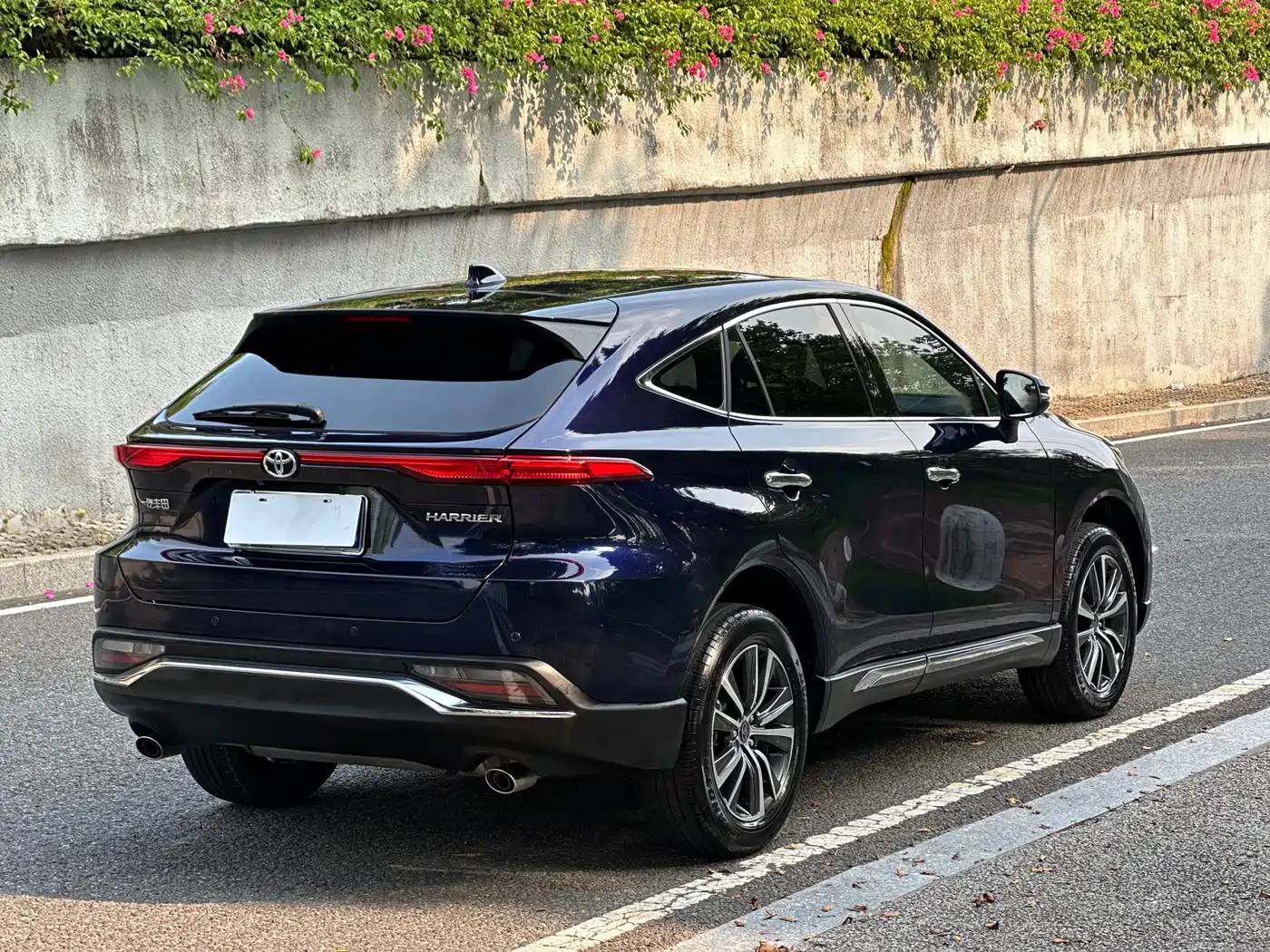 Toyota Lingfang HARRIER 2023 2.0L CVT 2WD Progressive Edition фото 7