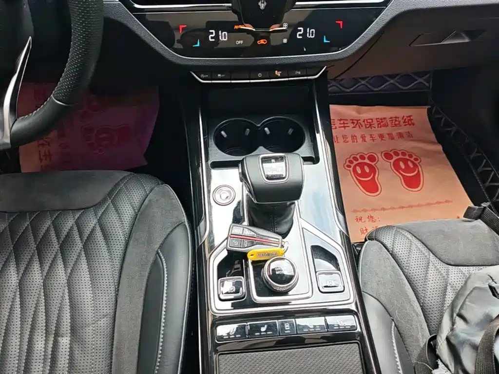 Hongqi HS5 2022 Facelift 2.0T Smart Flag Enjoyment AWD Edition фото 14
