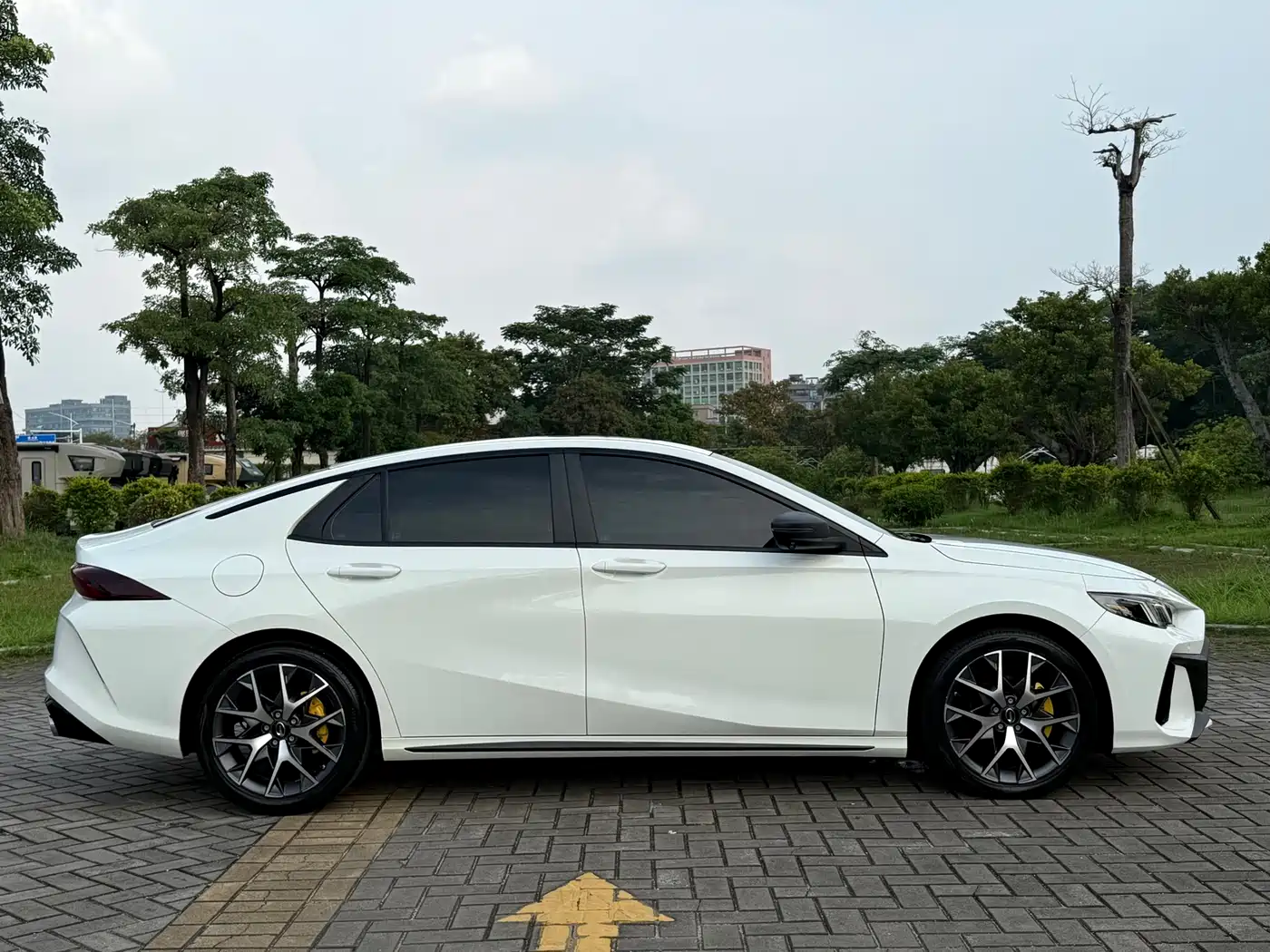 GAC SHADOW LEOPARD