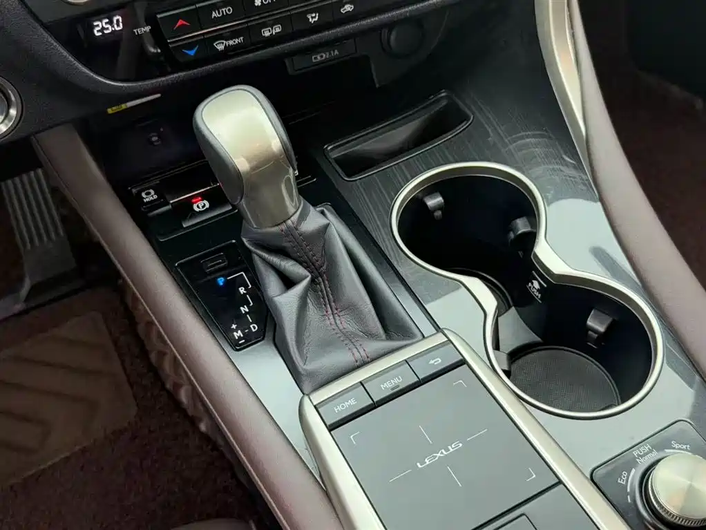 Lexus RX 2020 300 AWD Elegance Edition China V фото 7