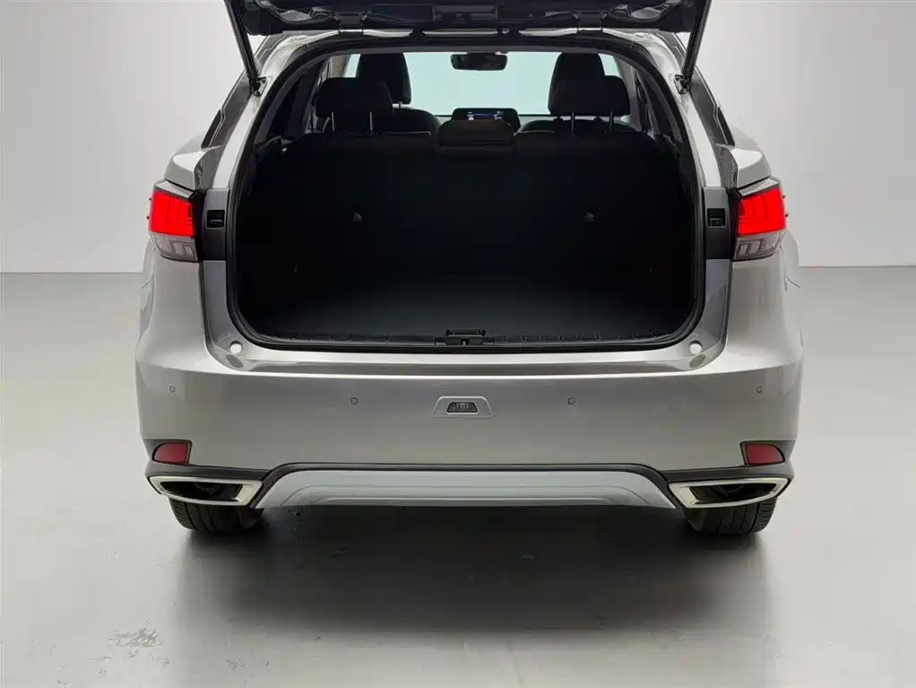 Lexus RX 2020 300 AWD Elegance Edition China V фото 20